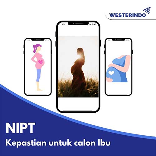 NIPT, Kepastian untuk Calon Ibu