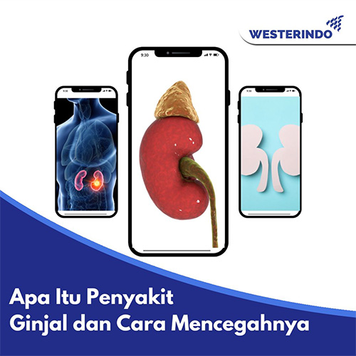 Penyakit Ginjal