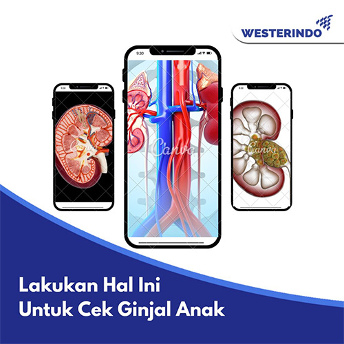 Waspada Penyakit Ginjal Anak