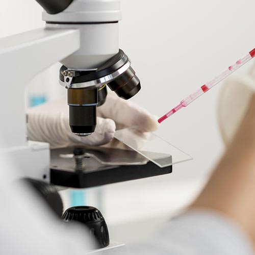 Laboratorium Klinik di Cibubur Westerindo Lengkap dan Modern